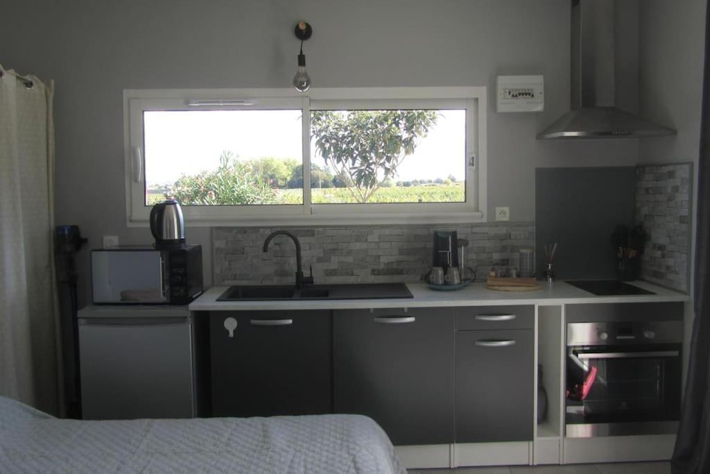 Studio Tout Confort Au Coeur Des Graves Portets Extérieur photo