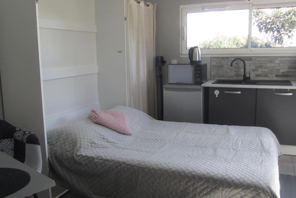 Studio Tout Confort Au Coeur Des Graves Portets Extérieur photo